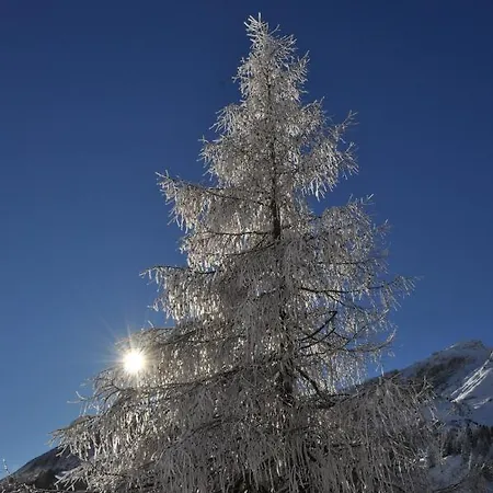 Tauernpasshoehe Obertauern